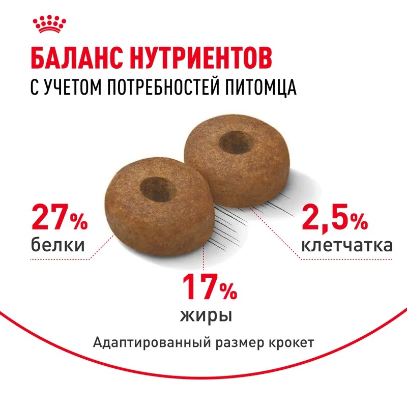 Royal Canin Maxi Ageing 8+ Сухой корм для пожилых собак крупных пород 15 кг