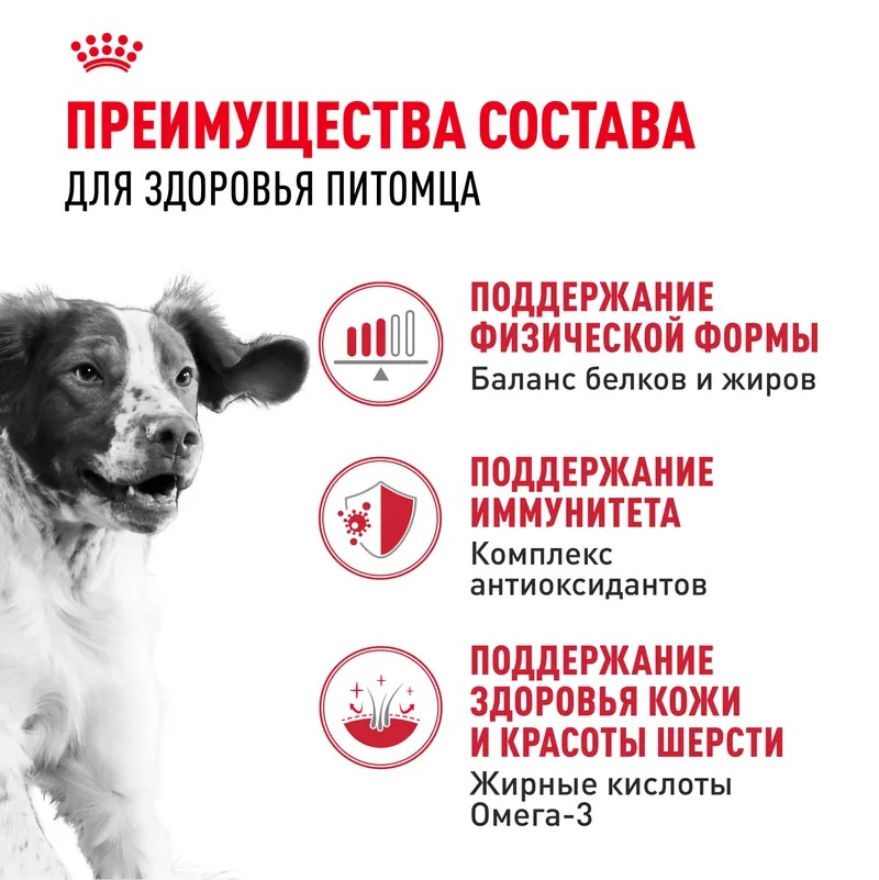 ROYAL CANIN Medium Adult для собак средних пород 3кг 4627109389728