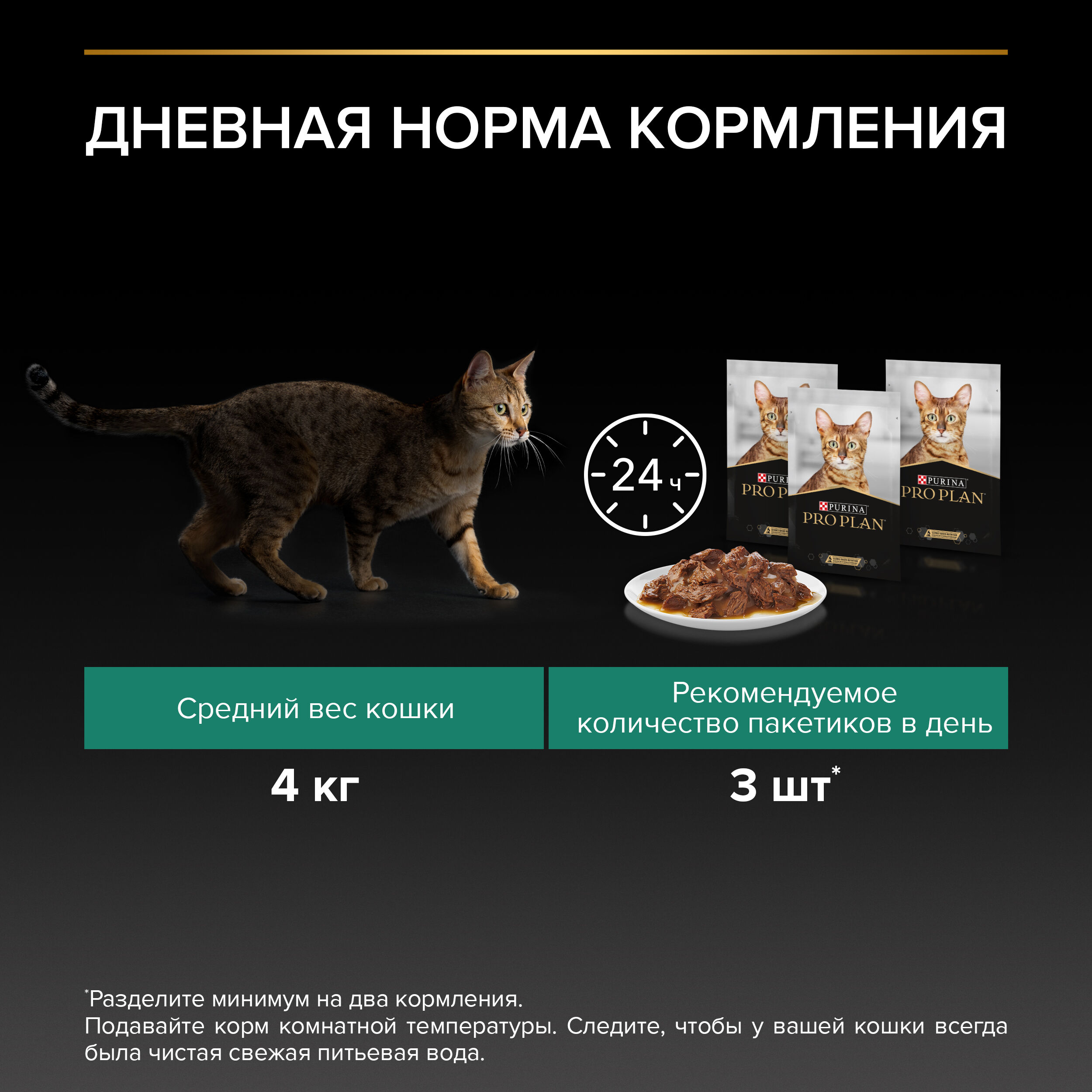 PROPLAN MAINTENANCE Влажный корм для взрослых кошек, с говядиной в соусе, 85 г