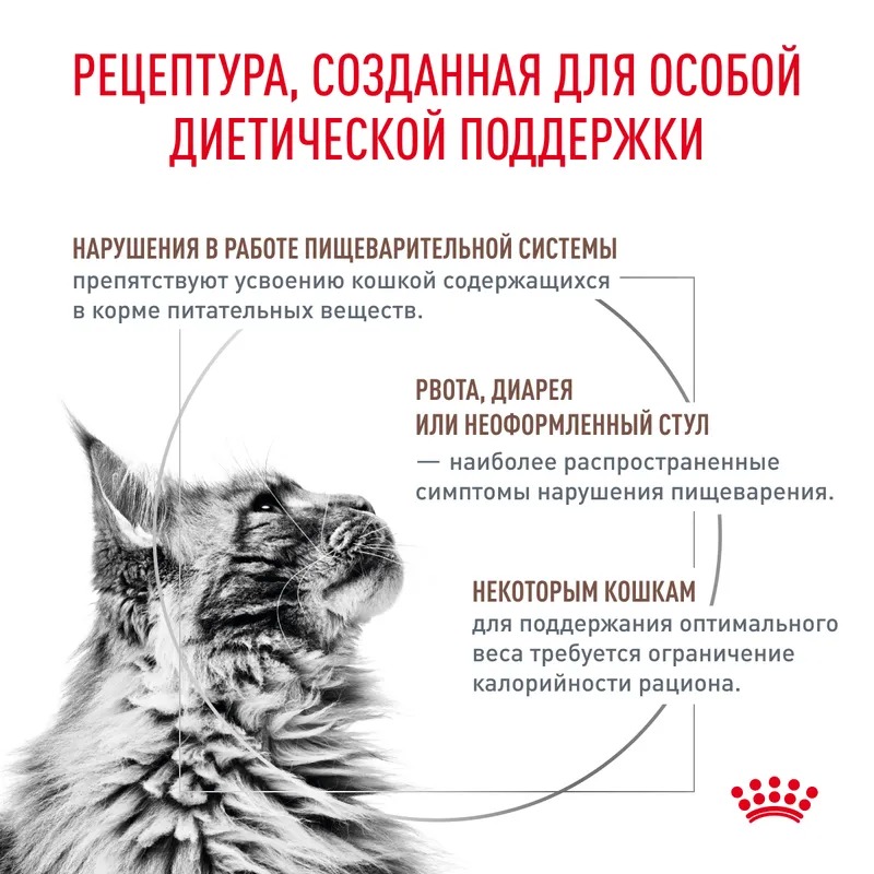 ROYAL CANIN Gastrointestinal Moderate Calorie Сухой корм для кошек при панкреатите 2 кг 4627109385584