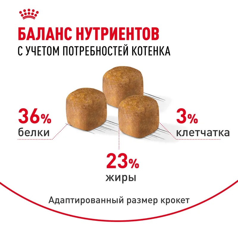 ROYAL CANIN Maine Coon Сухой корм для котят породы Мэйн Кун 400 гр 4627109383269