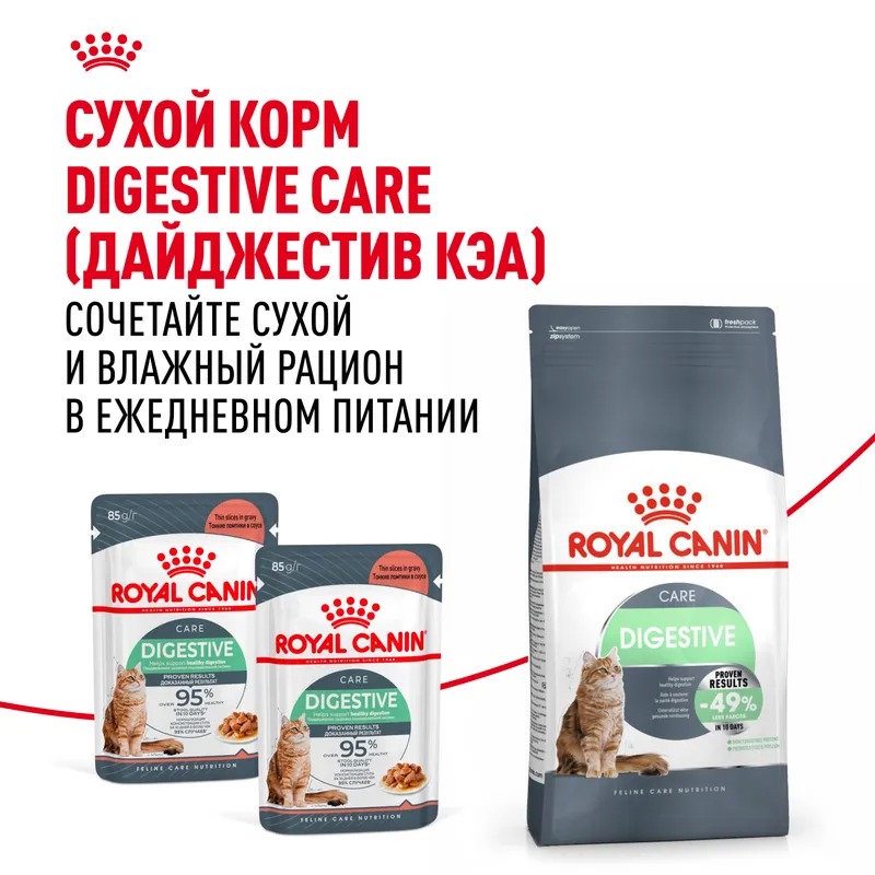 ROYAL CANIN Digest Sensitive корм для кошек соус 1 шт-85 гр 4627180245203