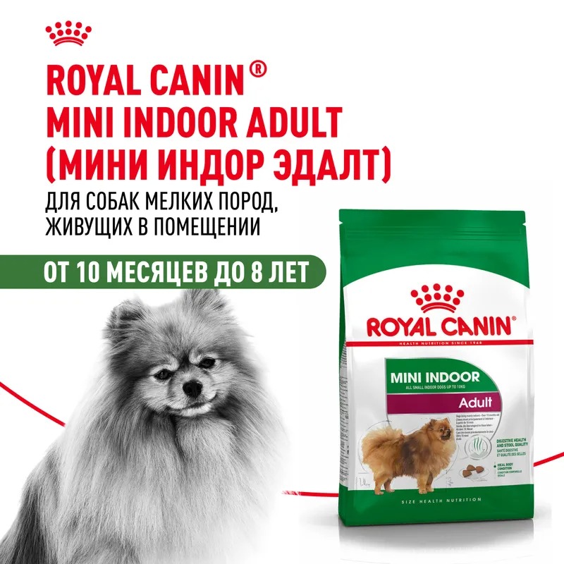 Сухой корм для собак Royal Canin, для малых пород, живущих в помещении 3 кг