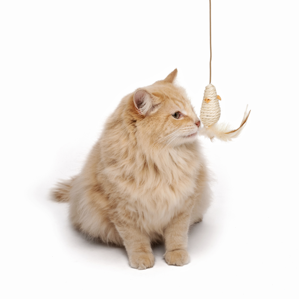 Игрушка-дразнилка для кошек NATURA мышь 35 см, Mpets 20601699