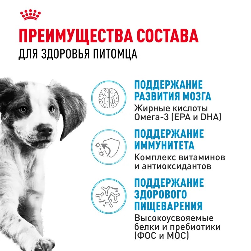 ROYAL CANIN Medium Puppy для щенков средних пород 14 кг 4627166861595