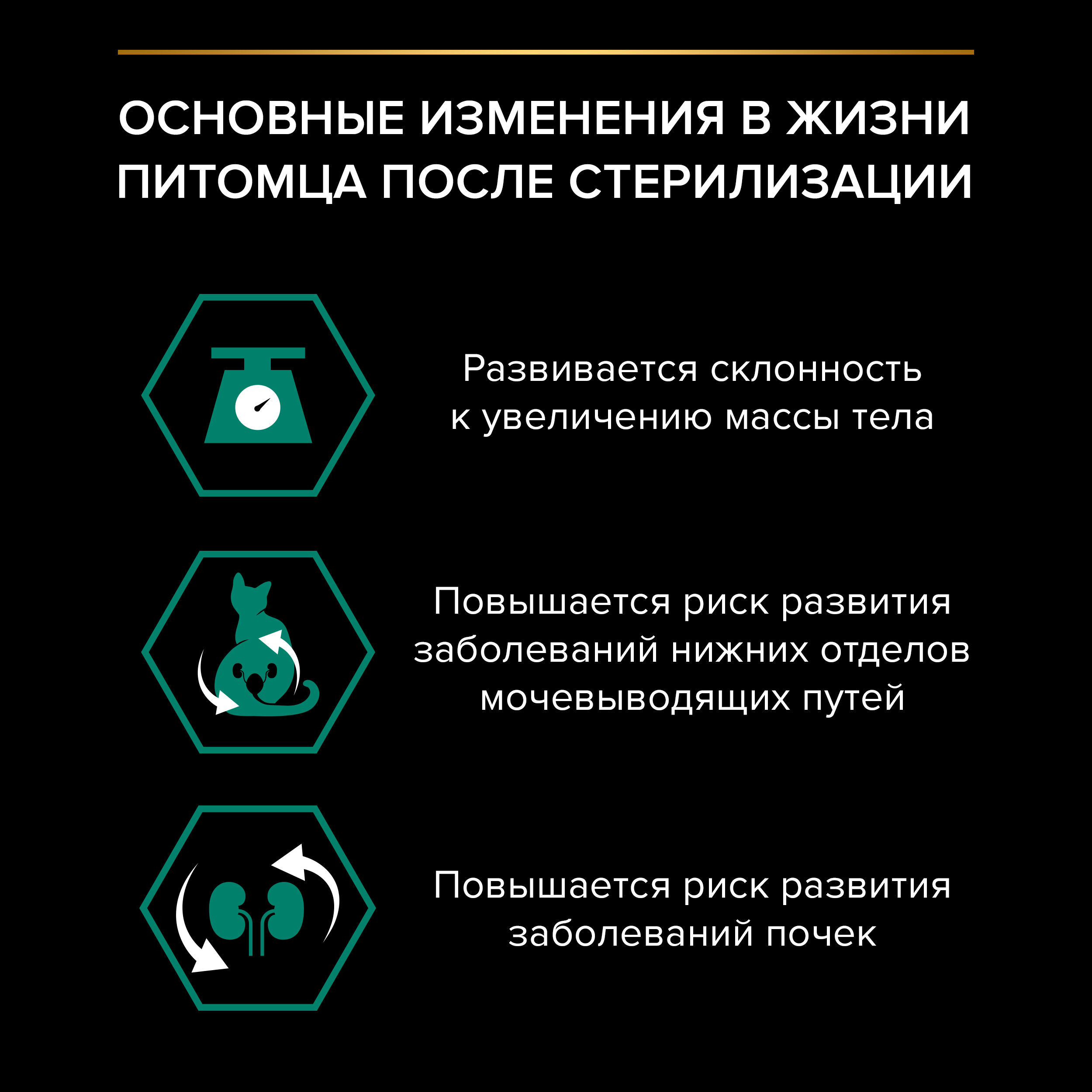 PROPLAN Sterilised MAINTENANCE Влажный корм для стерилизованных кошек, с курицей в соусе, 85г 7613034757043