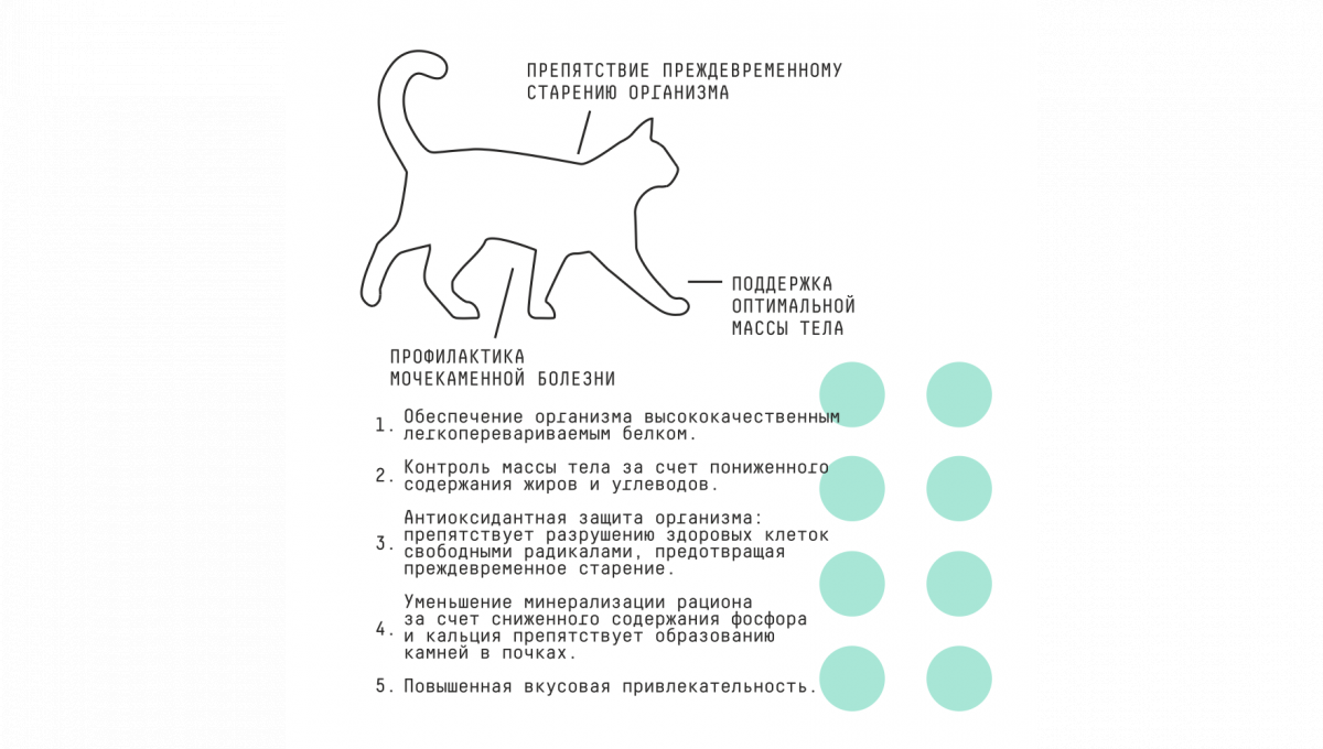 Ajo Сухой корм для стерилизованных кошек Sterile с индейкой 400 гр 4630169560129