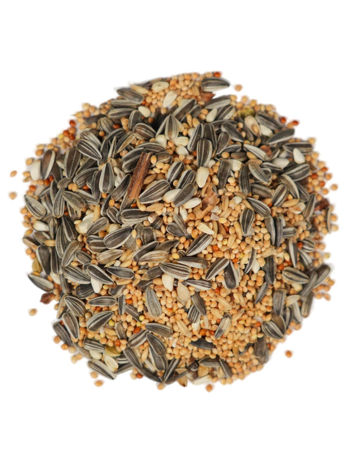 Корм Fiory Pet Paradise для средних попугаев 1 кг