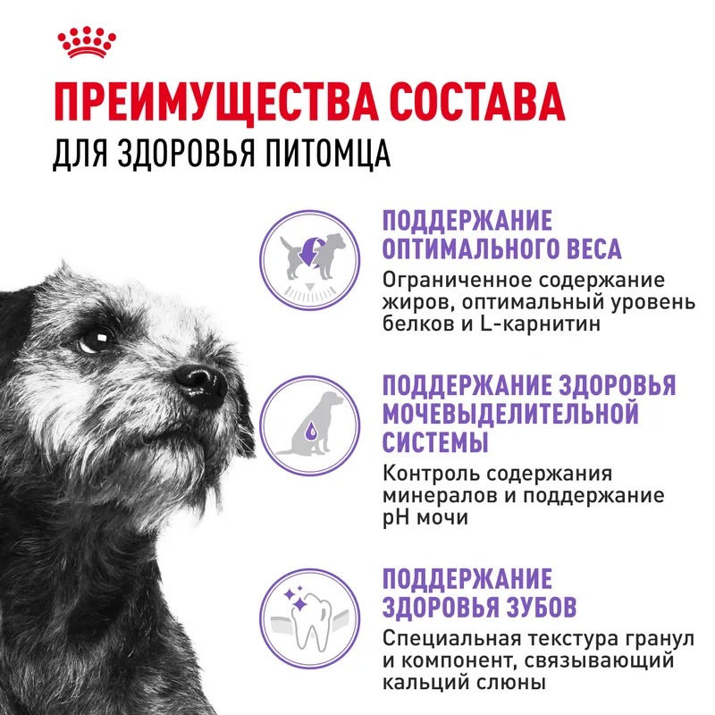 ROYAL CANIN Sterilised Корм для стерилизованных собак мелких пород 3кг