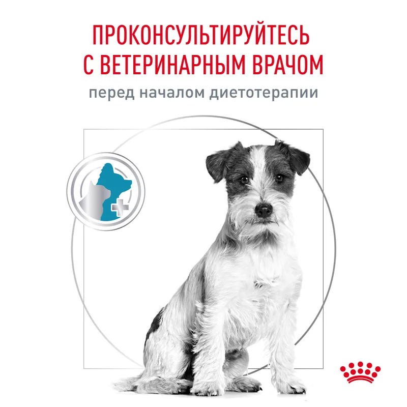 ROYAL CANIN Hypoallergenic Small Dog сухой корм для мелких собак 3,5 кг 4627109385508