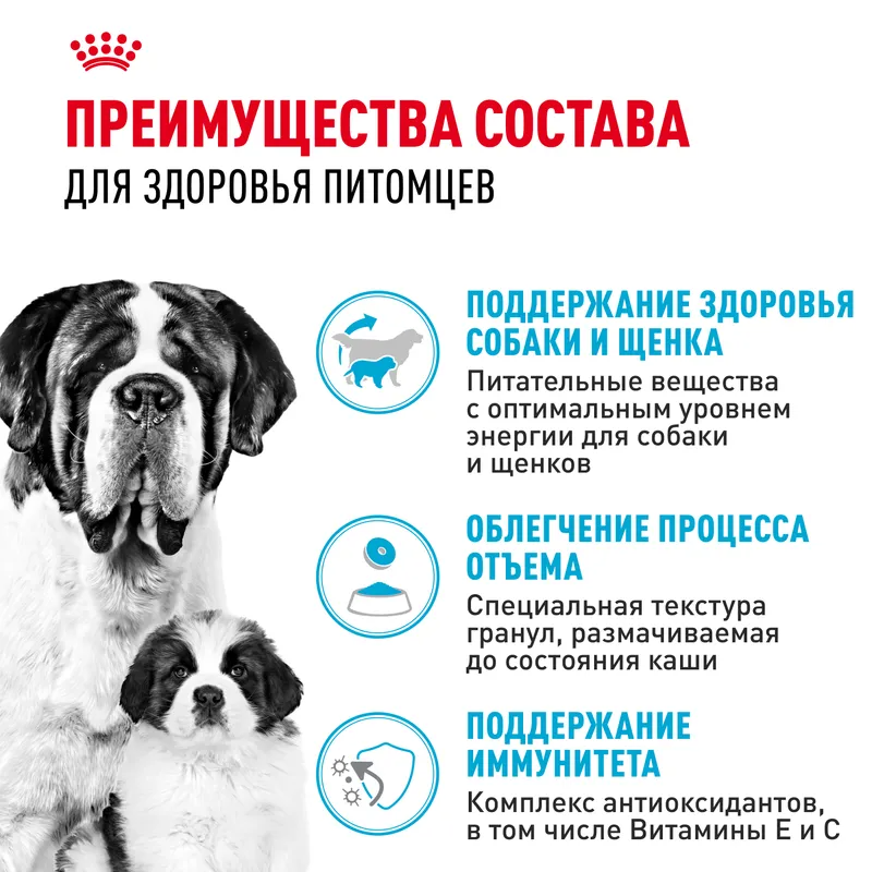 Сухой корм Royal Canin Giant Starter (Джайнт Стартер) для щенков очень крупных размеров до 2-х месяцев, беременных и кормящих сук, 4 кг