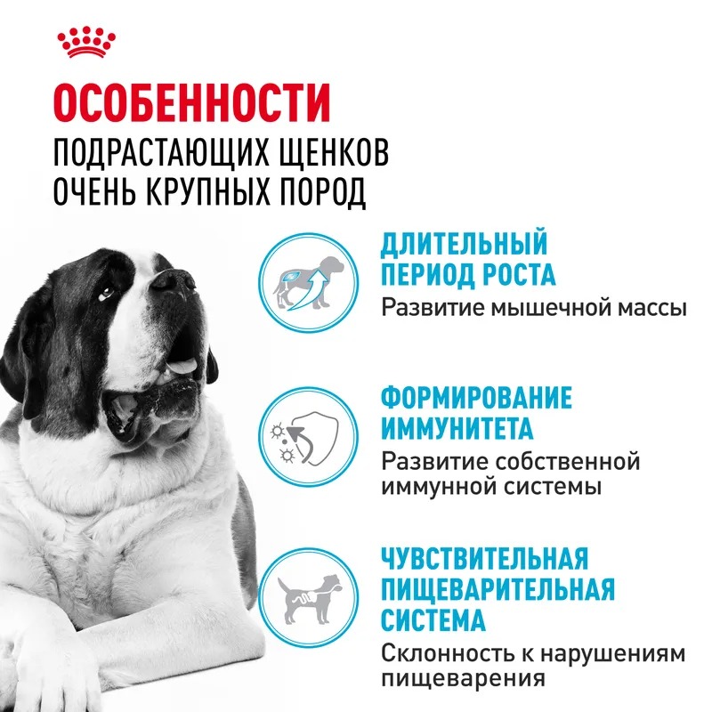ROYAL CANIN Giant Junior корм сухой для щенков гигантских пород 3,5 кг