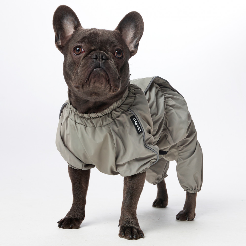 Дождевик LionPets Французский бульдог LPK9025-133 на мальчика Цвет: Шалфей (мальчик (спинка 41 см, обхват шеи 40-54 , обхват груди 42-63 см))