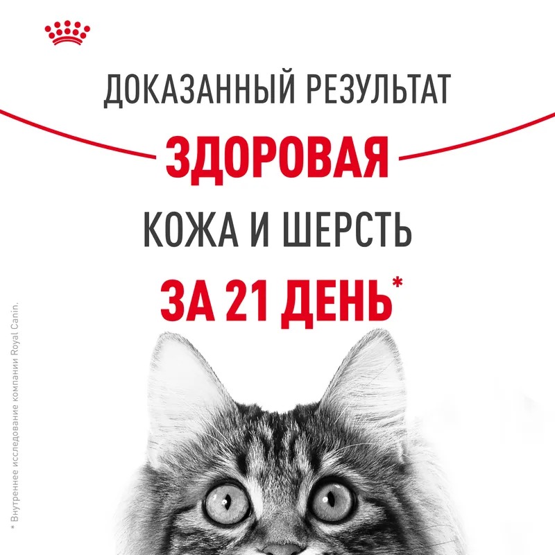 ROYAL CANIN Hair Сухой корм для кошек здоровая кожа и блеск шерсти 2 кг 4627166867917