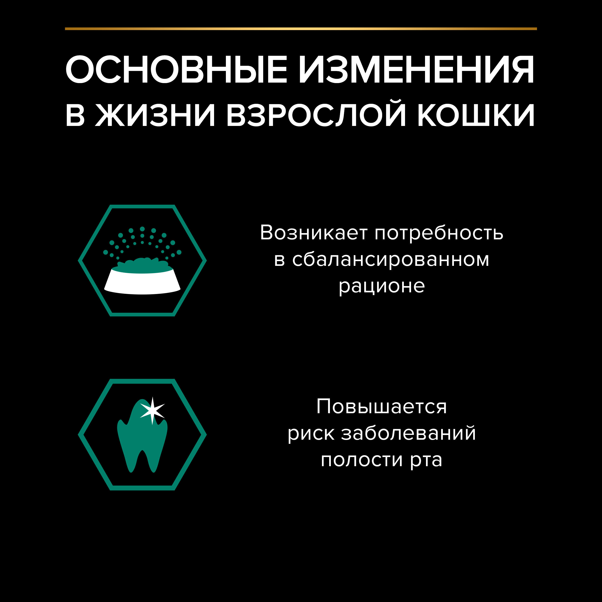 PROPLAN MAINTENANCE Влажный корм для взрослых кошек, с говядиной в соусе, 85 г