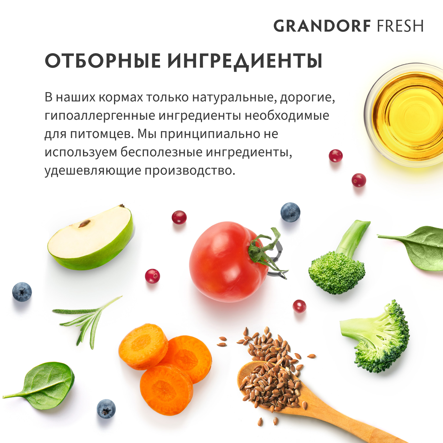 Grandorf Fresh Grandorf Сухой беззерновой корм для мелких собак с лососем 1 кг 5407007852819