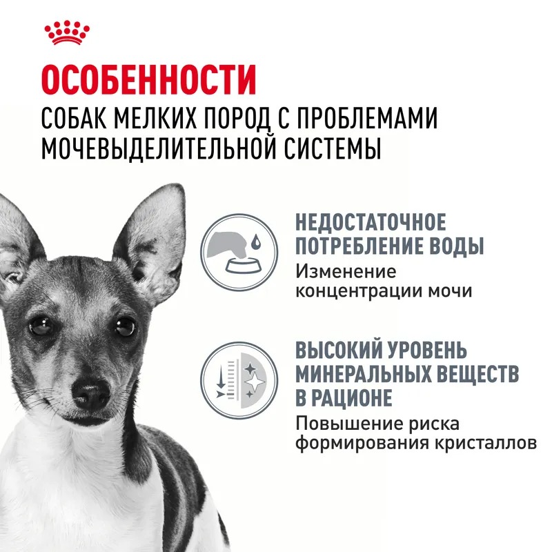ROYAL CANIN ROYAL CANIN Mini Urinary Care Сухой корм для собак  1 кг