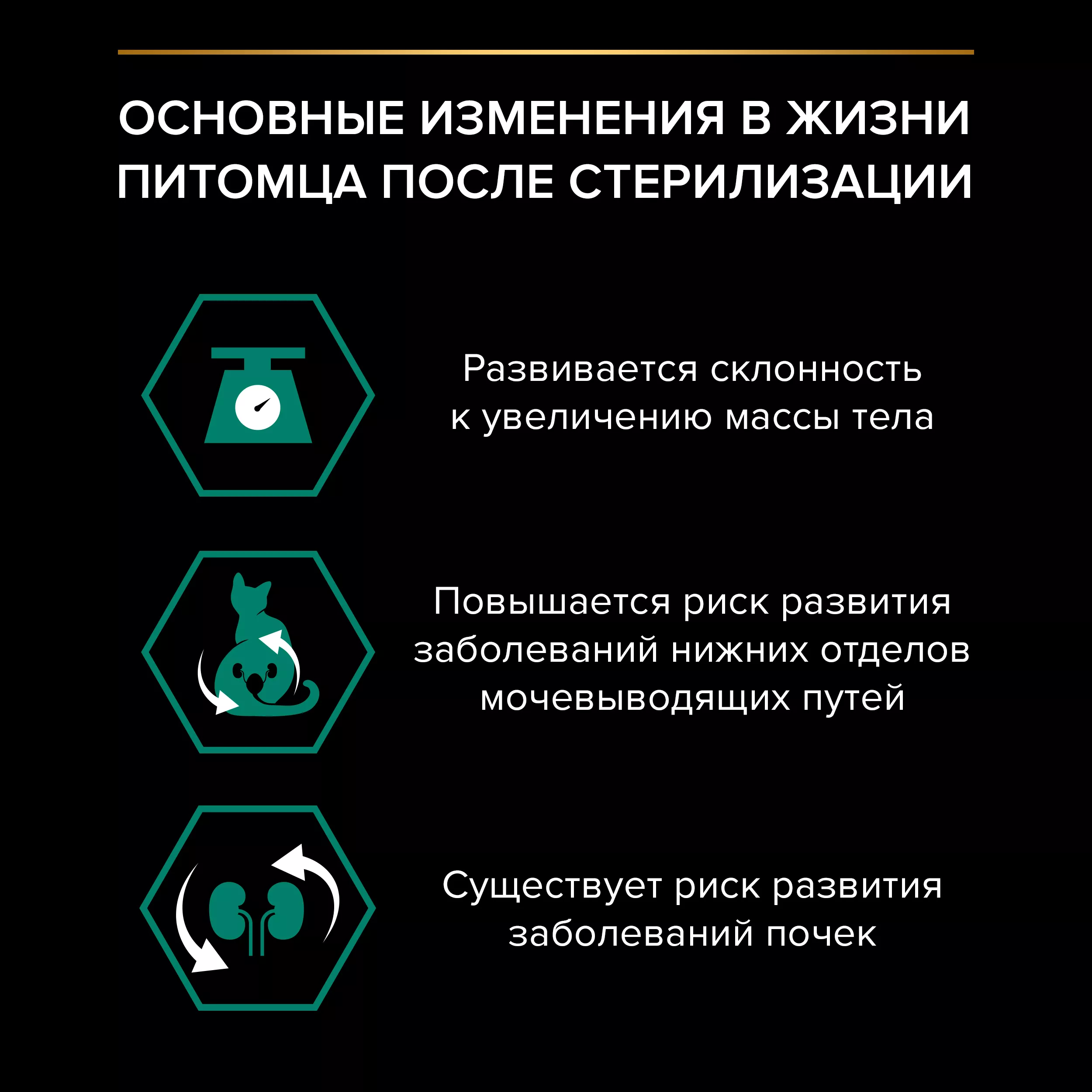 PROPLAN STERILISED Влажный корм для стерилизованных кошек, с лососем в соусе, 85г