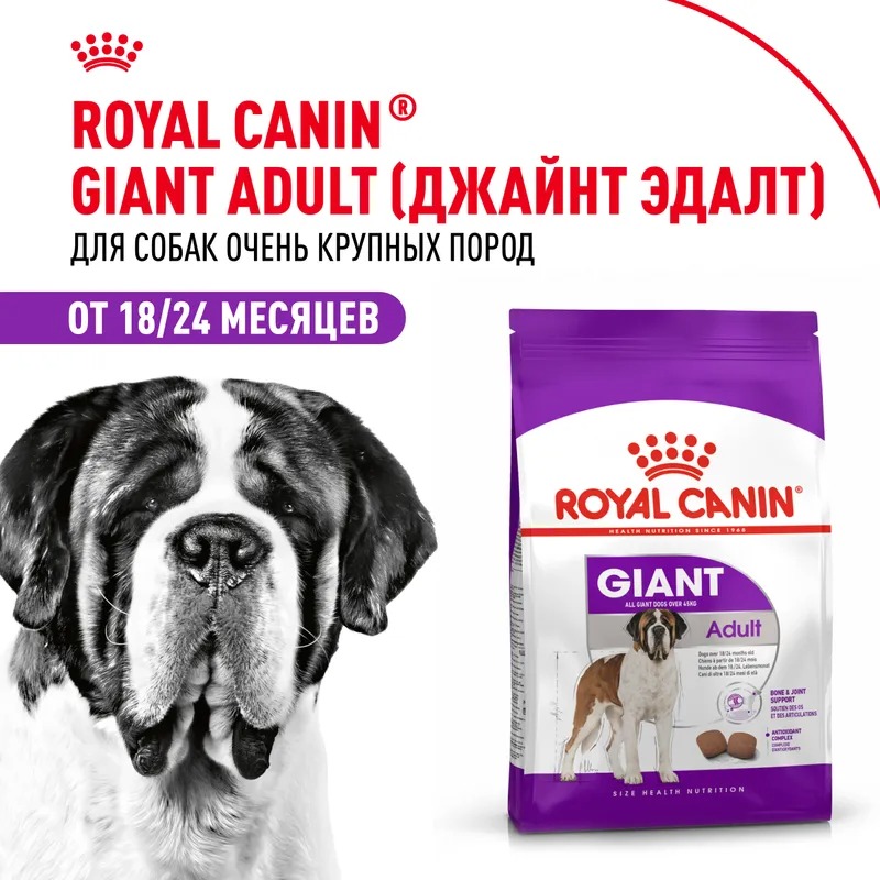 ROYAL CANIN Giant корм сухой для собак гигантских пород 15 кг 4627109384914