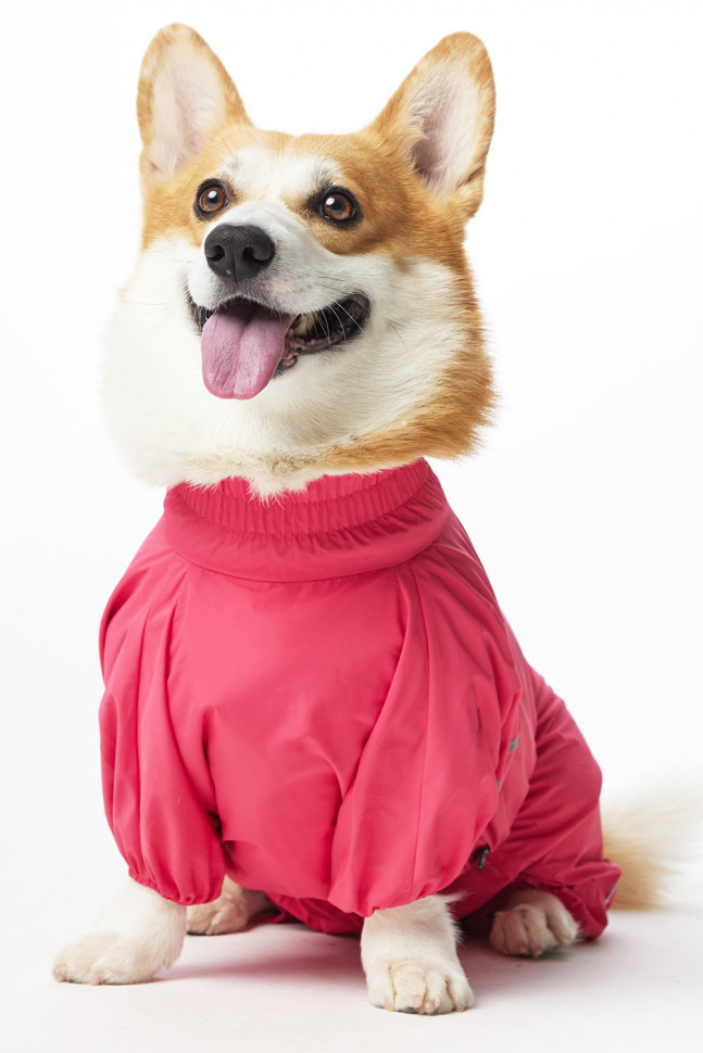 Дождевик LionPets Корги LPK-9125-58 на девочку Цвет: Розовый (девочка Размер 3 (спинка 53, обхват шеи 40-48, обхват груди 60-82))