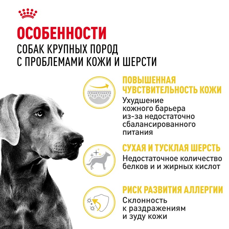 ROYAL CANIN Корм для крупных собак при раздражениях и зуде кожи 3 кг 4627150231410