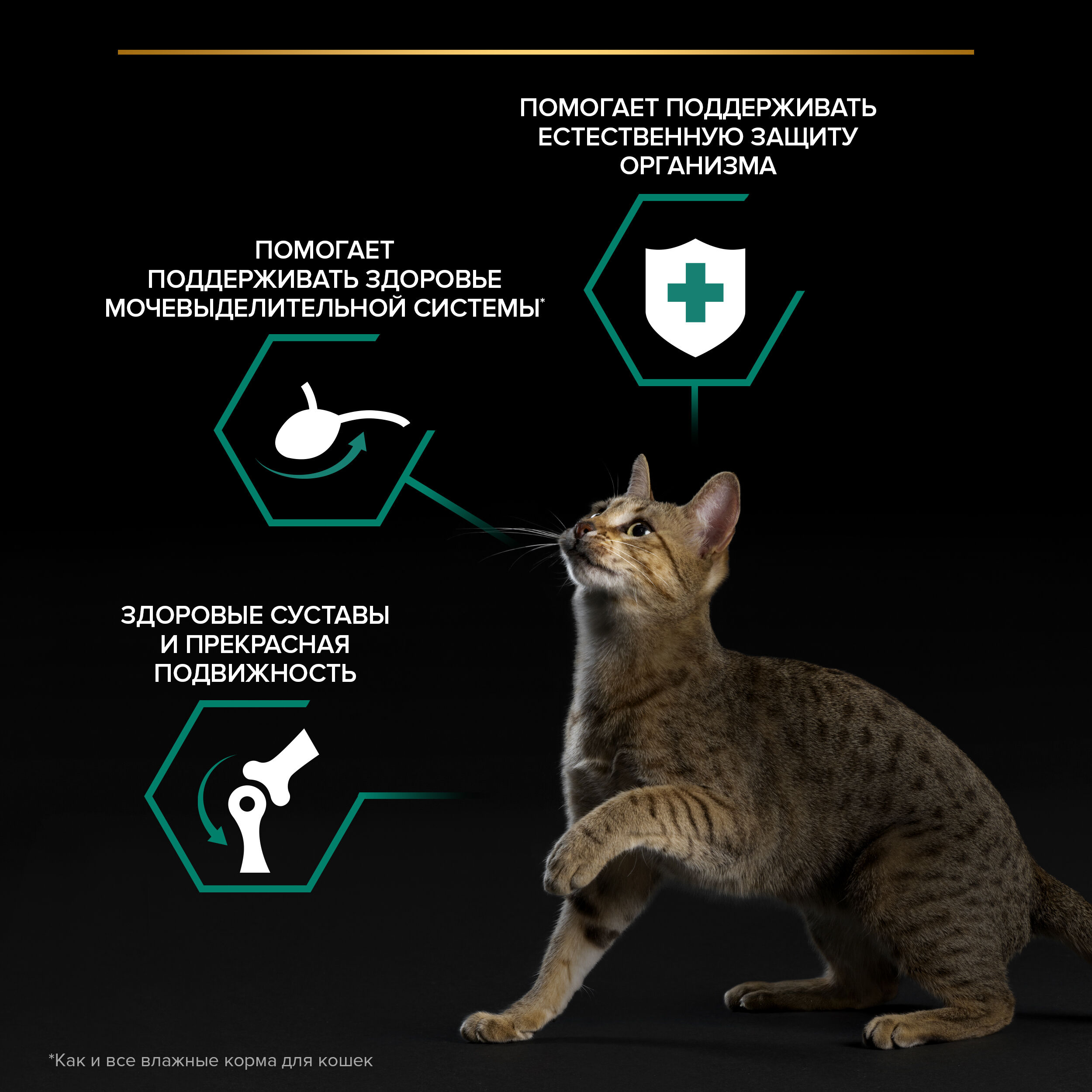 PROPLAN MAINTENANCE Влажный корм для взрослых кошек, с уткой в соусе, 85 г
