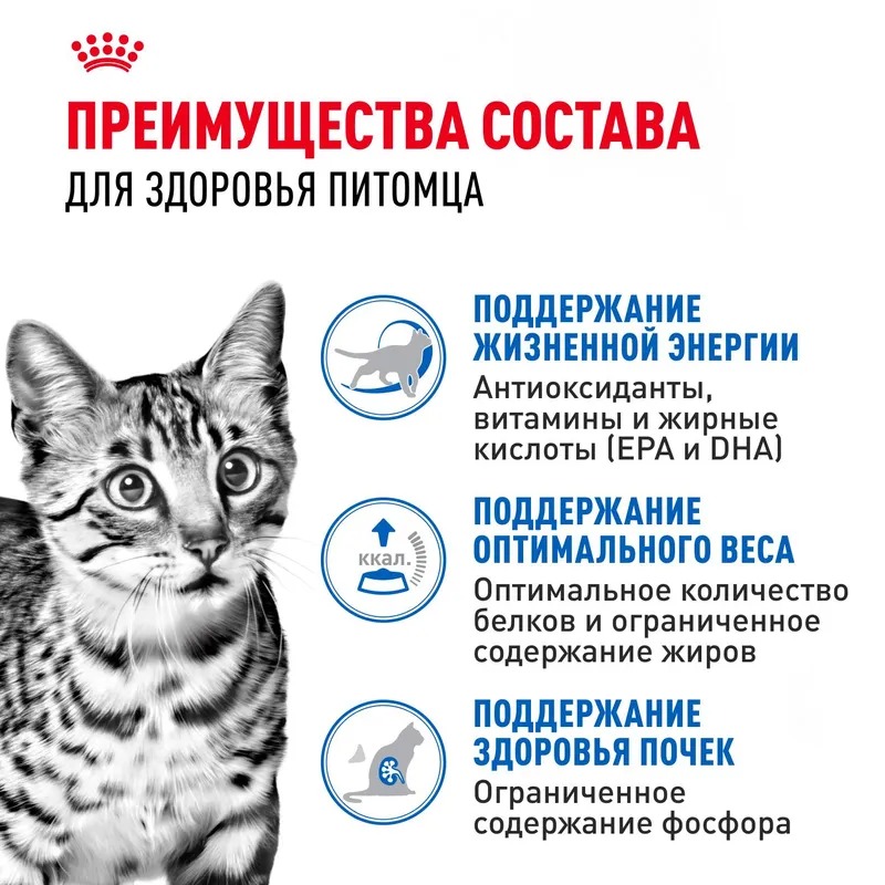 Royal Canin Indoor Sterilised 7+ Влажный корм для кошек живущих в помещении, мелкие кусочки в желе, 85гр