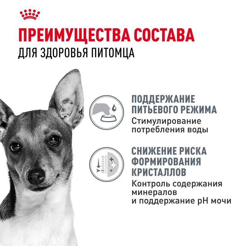 Royal canin Royal Canin Mini Urinary Care Сухой корм для собак  1 кг