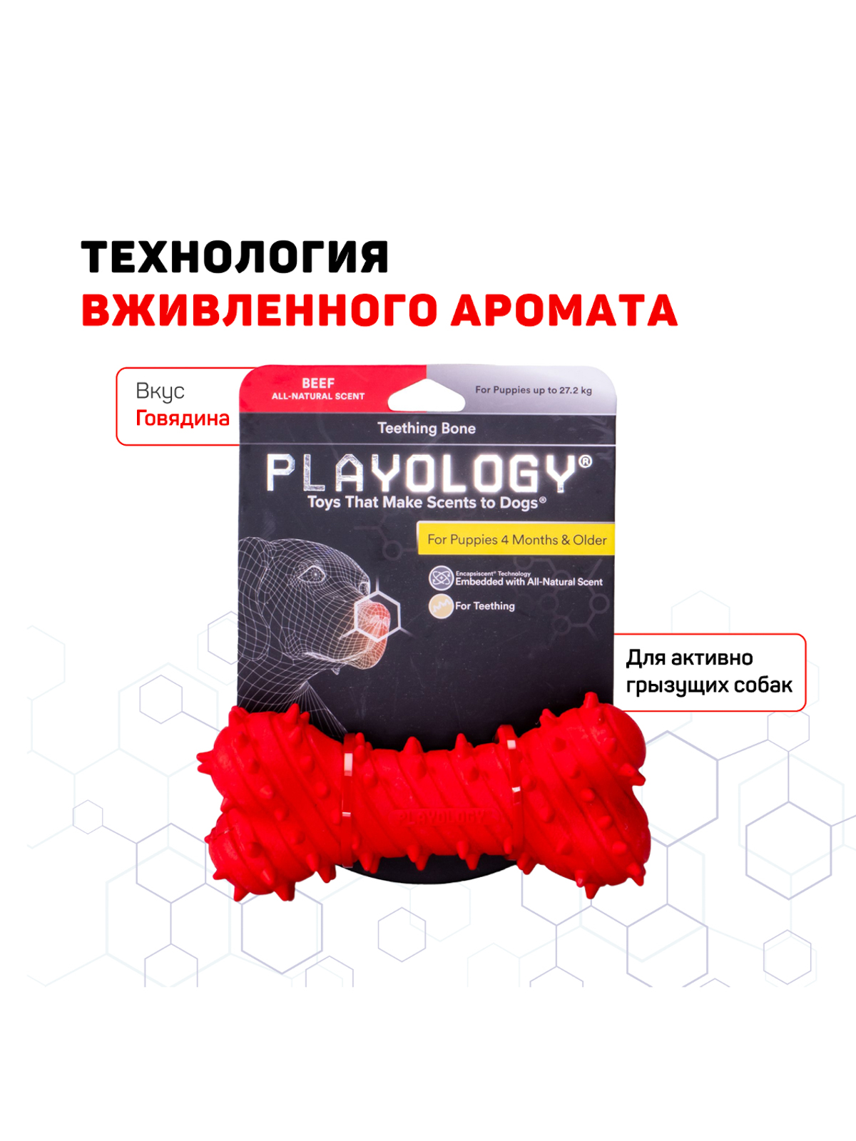 Playology дентальная жевательная косточка PUPPY TEETHING BONE для щенков 4-8 месяцев с ароматом говядины, цвет красный