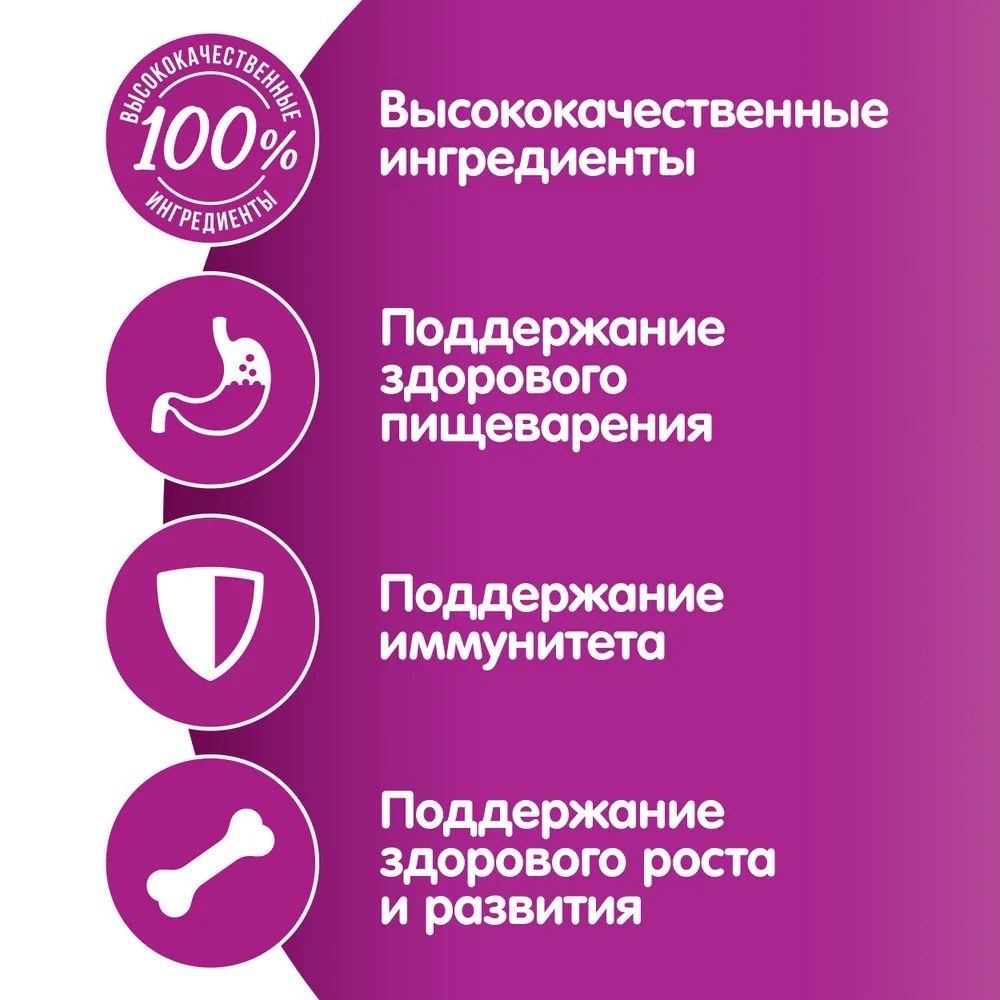 WHISKAS Влажный корм для котят Рагу Курица 75гр