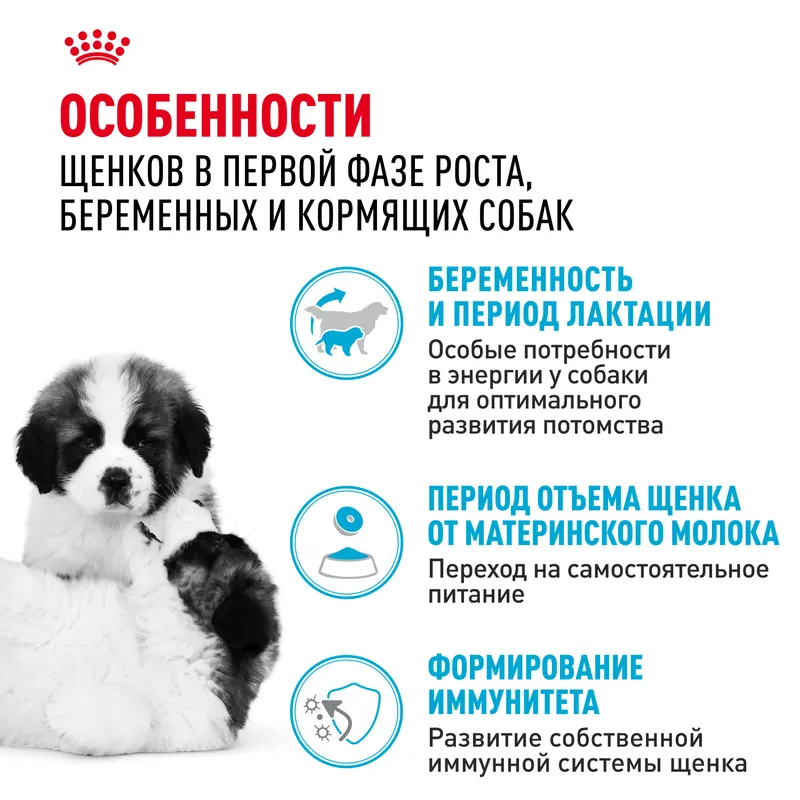 Сухой корм Royal Canin Giant Starter (Джайнт Стартер) для щенков очень крупных размеров до 2-х месяцев, беременных и кормящих сук, 15 кг