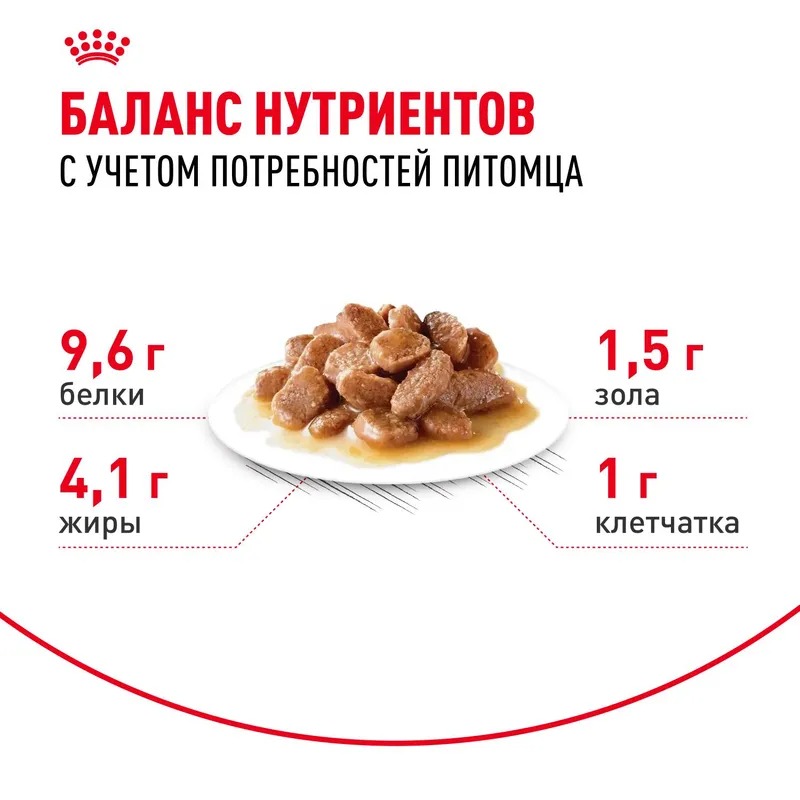 Royal Canin Ageing 12+ Влажный корм для стареющих кошек в возрасте старше 12 лет, мелкие кусочки в соусе,  85гр