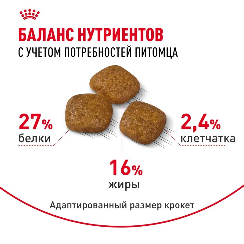 Royal canin Royal Canin Mini Urinary Care Сухой корм для собак  1 кг