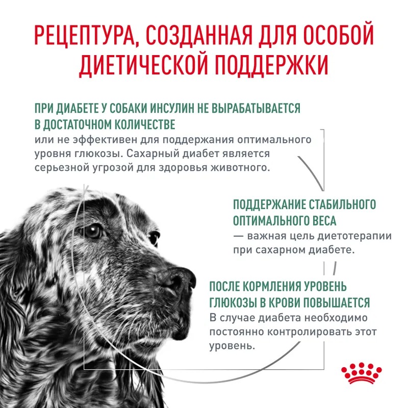ROYAL CANIN Diabetic корм для собак при диабете 12 кг 3182550798952