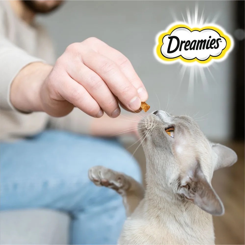 DREAMIES  Лакомство для кошек с лососем 140гр