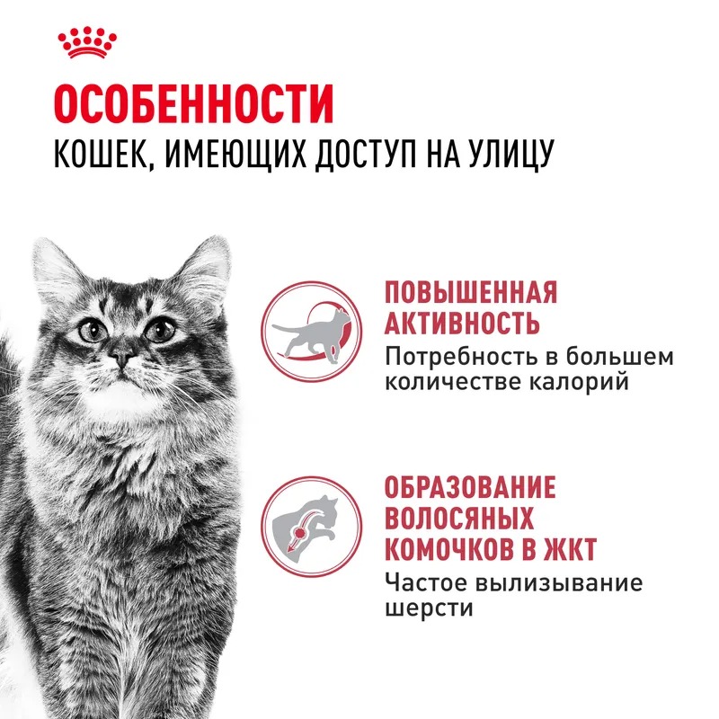 ROYAL CANIN Корм сухой Fit 32 для взрослых кошек 2 кг 4627109380572