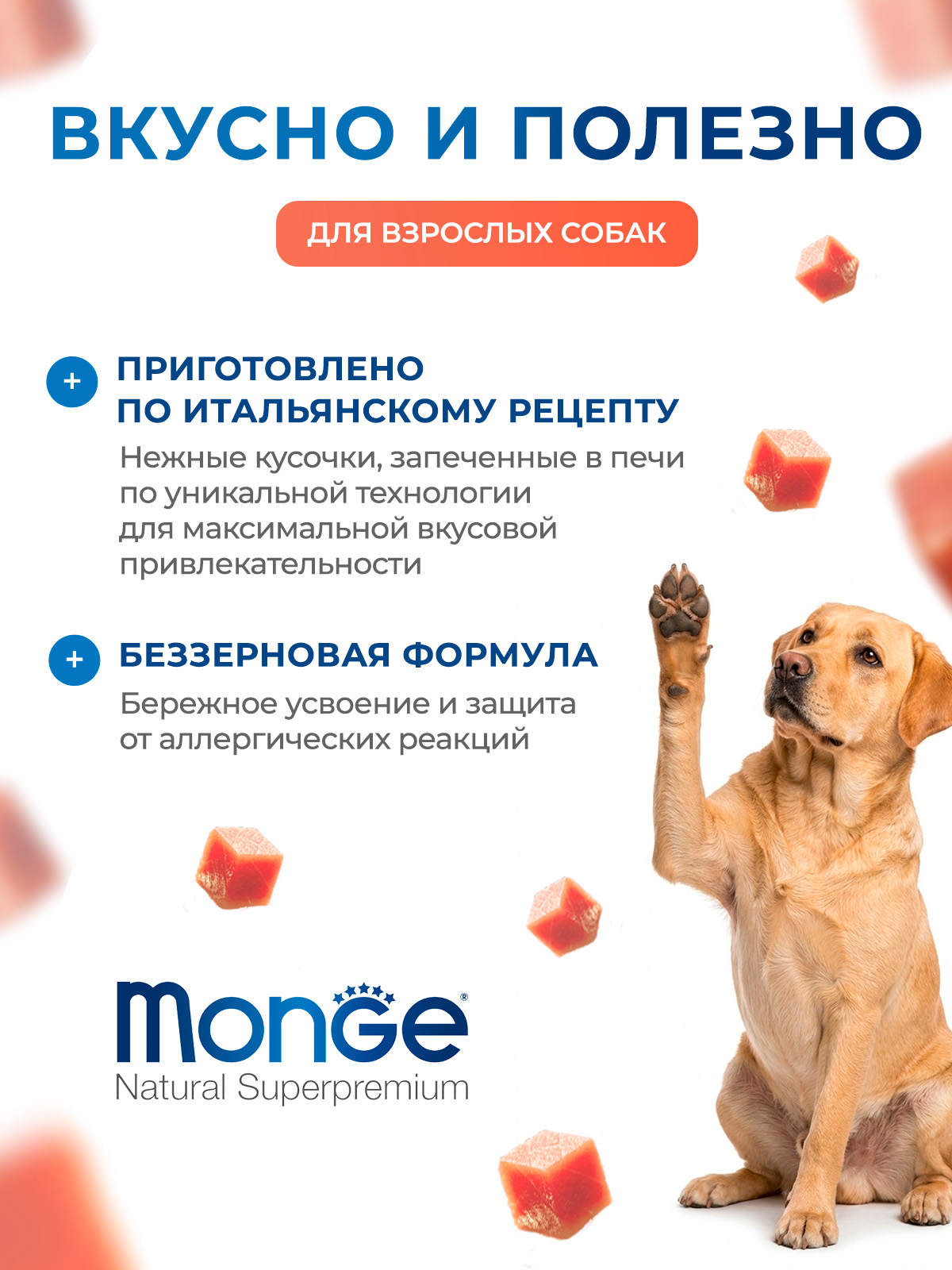 Влажный корм Monge Dog Grill для собак с лососем, паучи 100 г