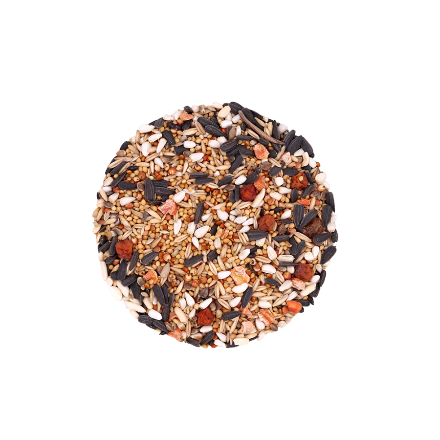 Корм Snax Daily д/средних попугаев 400 г