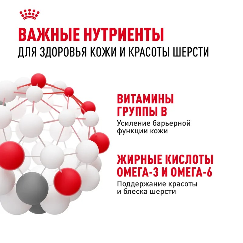 ROYAL CANIN Derma Корм для мелких собак при раздражениях и зуде кожи 1кг 4627150231571