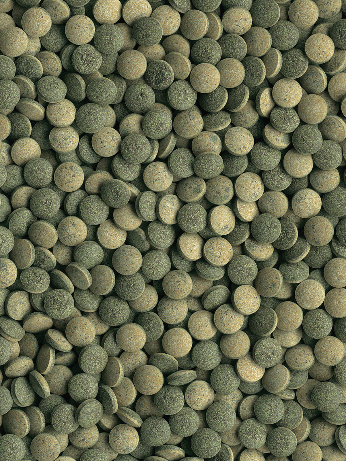 TetraPlecoTablets корм со спирулиной для сомов и донных рыб 58 таб.