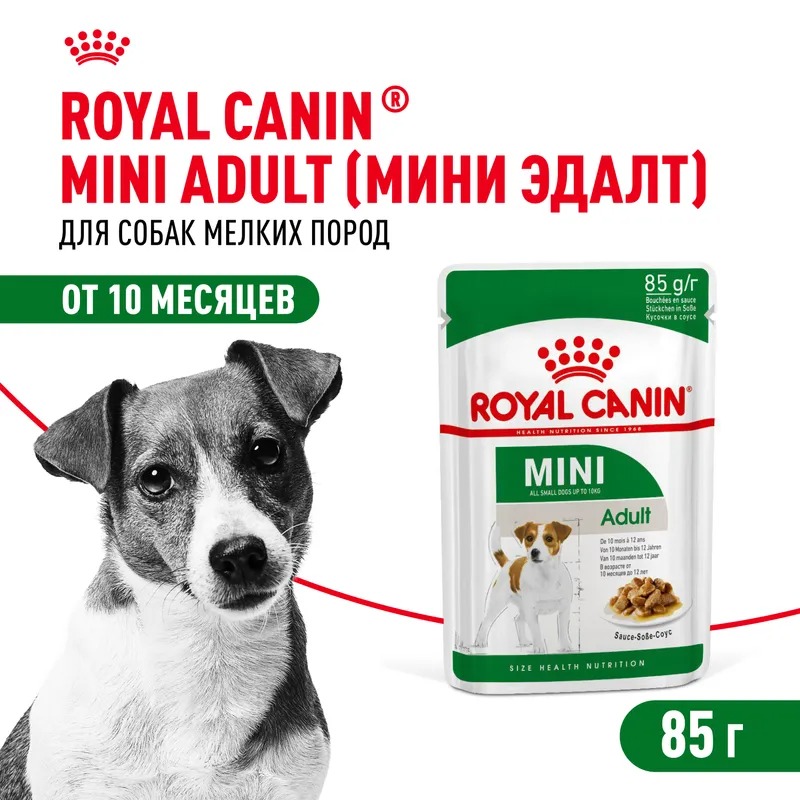 Влажный корм Royal Canin Mini Adult для взрослых собак мелких размеров от 10 месяцев, кусочки в соусе 85гр