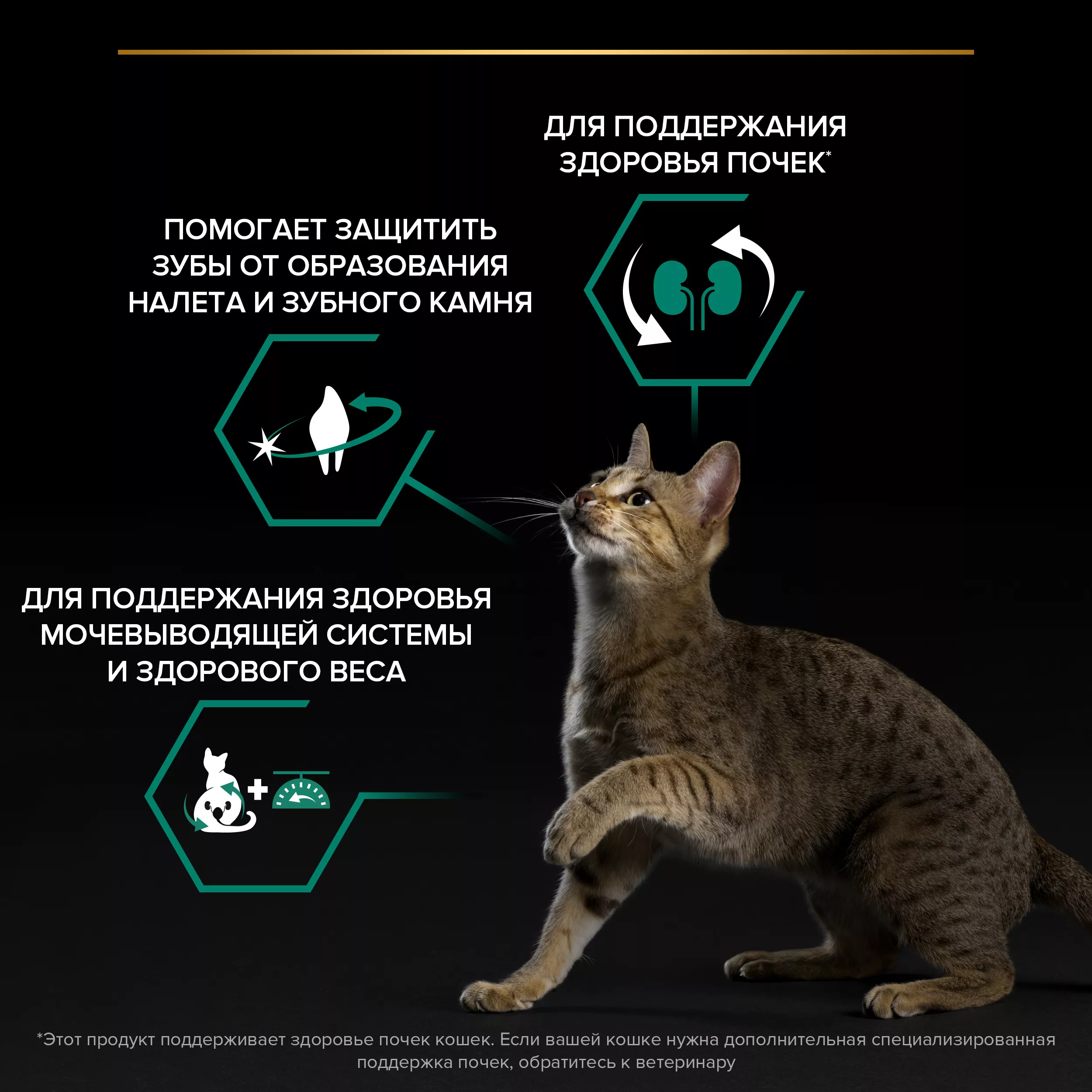Сухой корм PRO PLAN для стерилизованных кошек, с кроликом, 10 кг + 2 кг