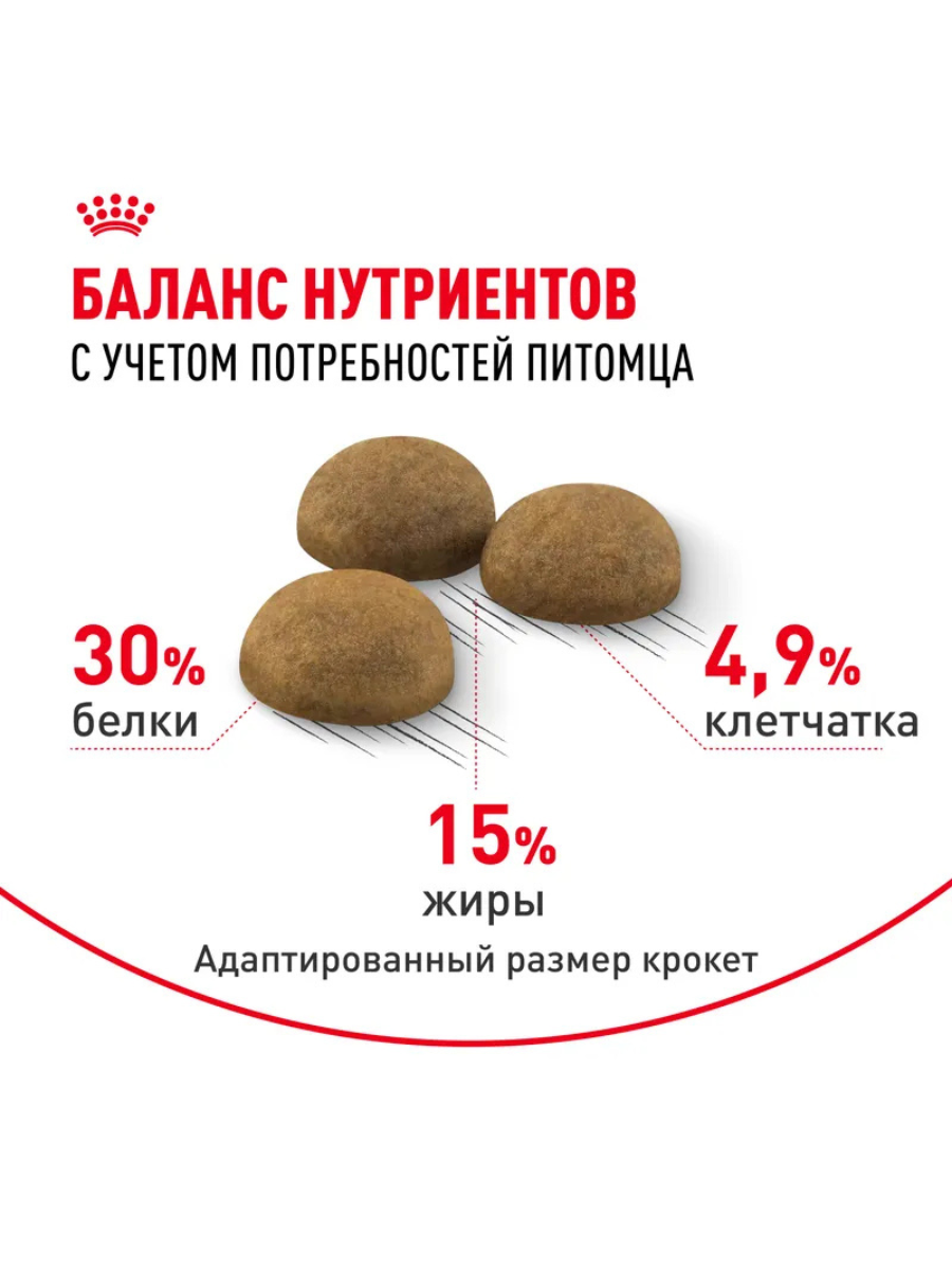 ROYAL CANIN Сухой корм для длинношерстных кошек живущих в помещении 400г