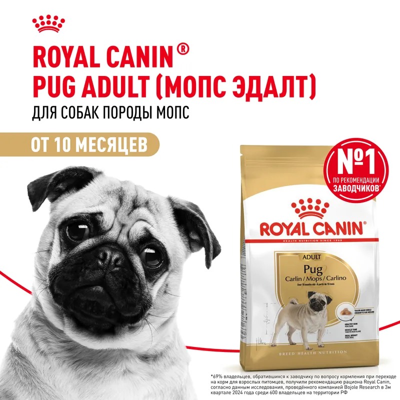 ROYAL CANIN Pug корм сухой для взрослых собак породы мопс 1,5 кг 4627109384075