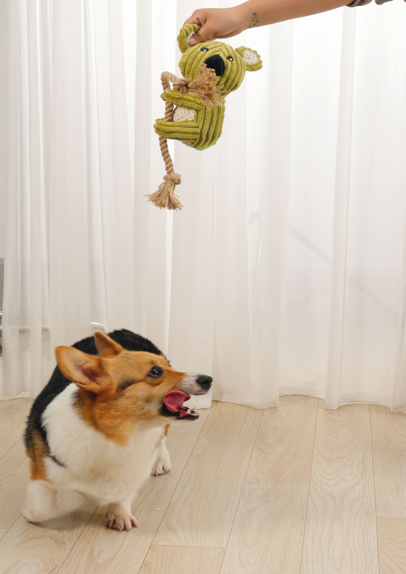 Игрушка Коала НА КАНАТЕ мягкая 34 см. 10640999 Mpets