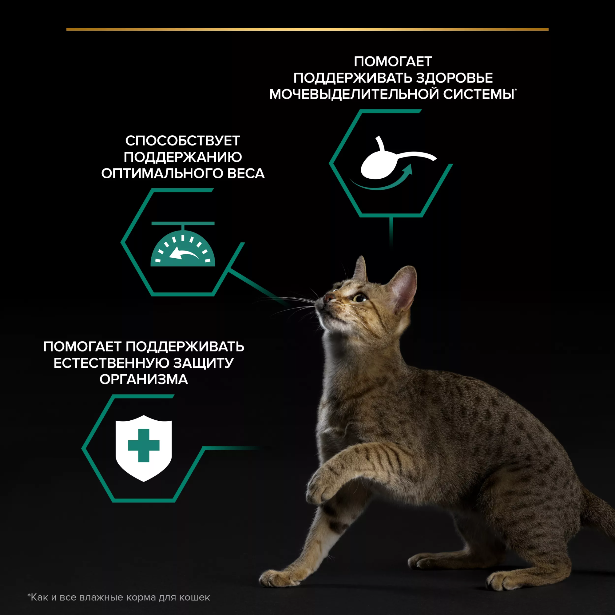 PROPLAN STERILISED Влажный корм для стерилизованных кошек, с лососем в соусе, 85г