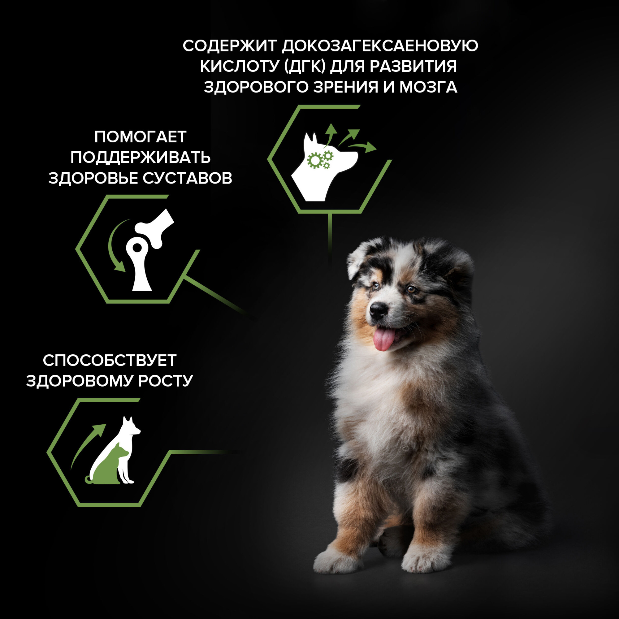 Сухой корм для щенков PRO PLAN для средних пород с курицей, 12 кг 7613035120402