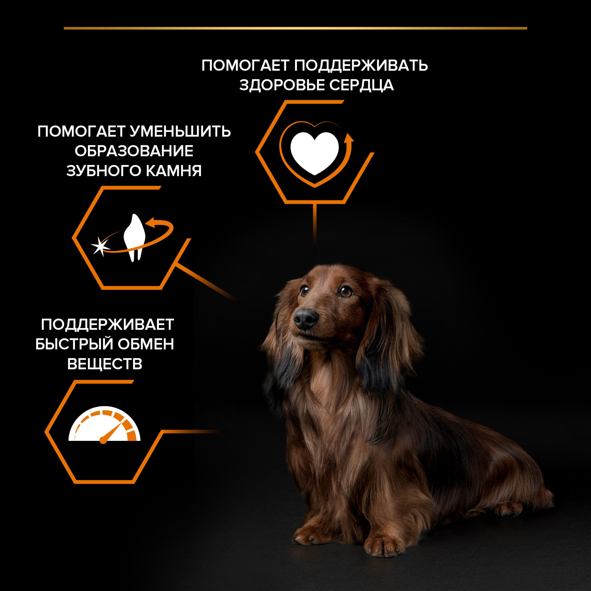 Сухой корм для собак PRO PLAN для мелких и карликовых пород с курицей, 3кг 7613035114920