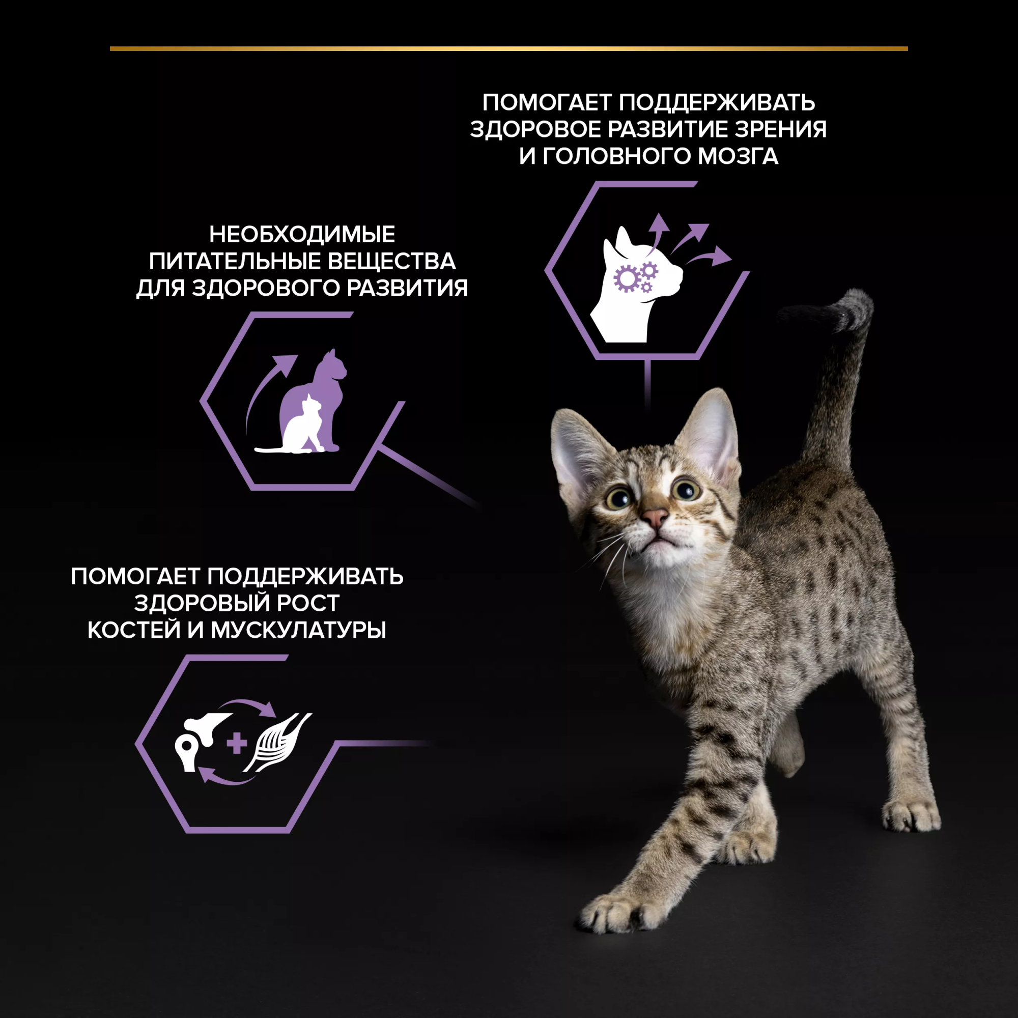 Влажный корм PRO PLAN HEALTHY START для котят с говядиной в соусе, с индейкой в соусе и с курицей в желе 85 г х 10 шт