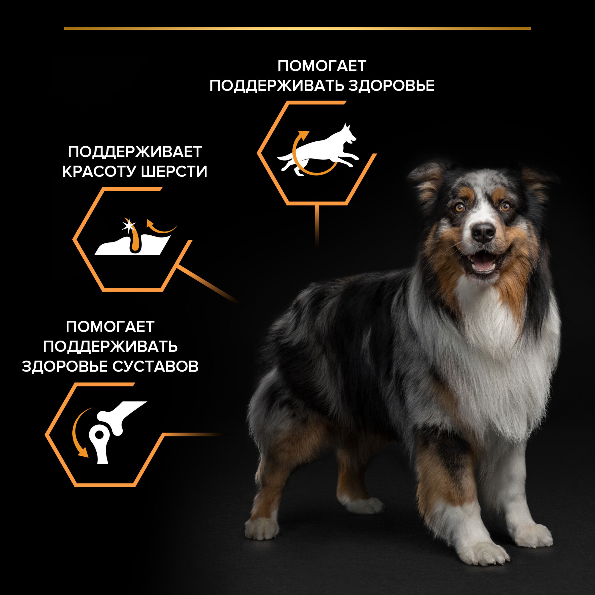 Сухой корм для собак PRO PLAN для средних пород с курицей, 3кг 7613035114807